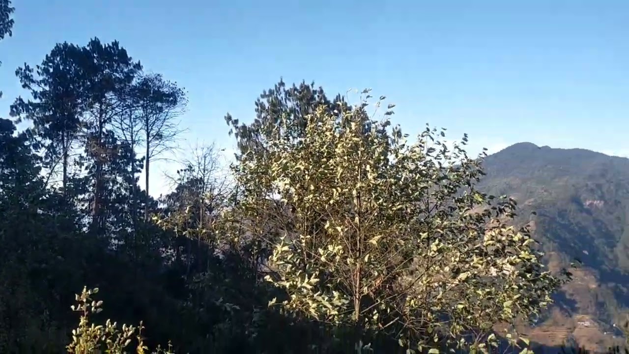 Falamkhani View 🔥🔥