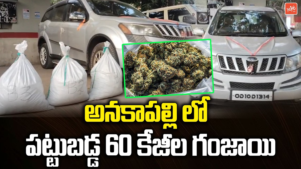 అనకాపల్లి లో పట్టుబడ్డ 60 కేజీల గంజాయి.. Police Seized 60Kgs Of Ganja In Anakapalli |YOYO TV Channel