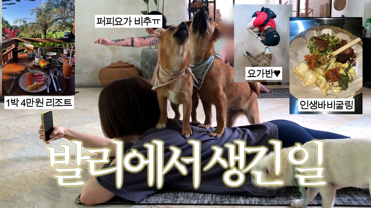 《끝까지 몰아보기》 15박16일 발리에서 생긴 일........𓇼