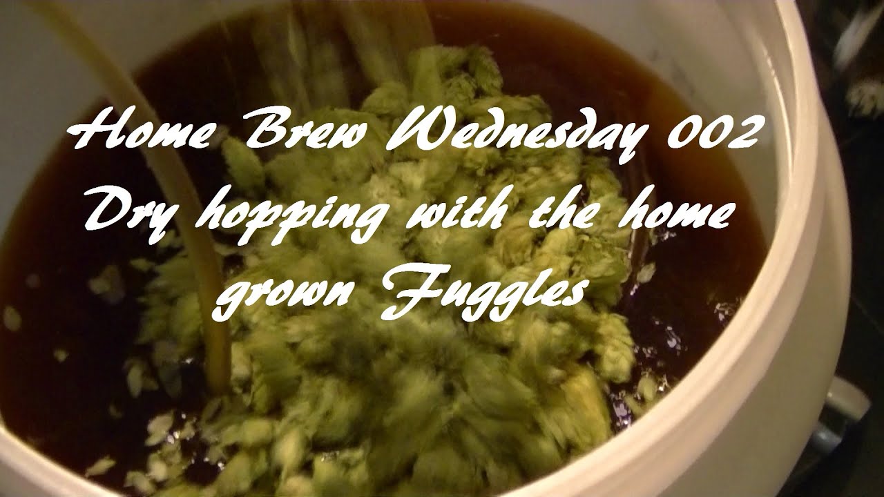 Home Brew Wednesday 002 - Dry hopping with the home grown fuggles