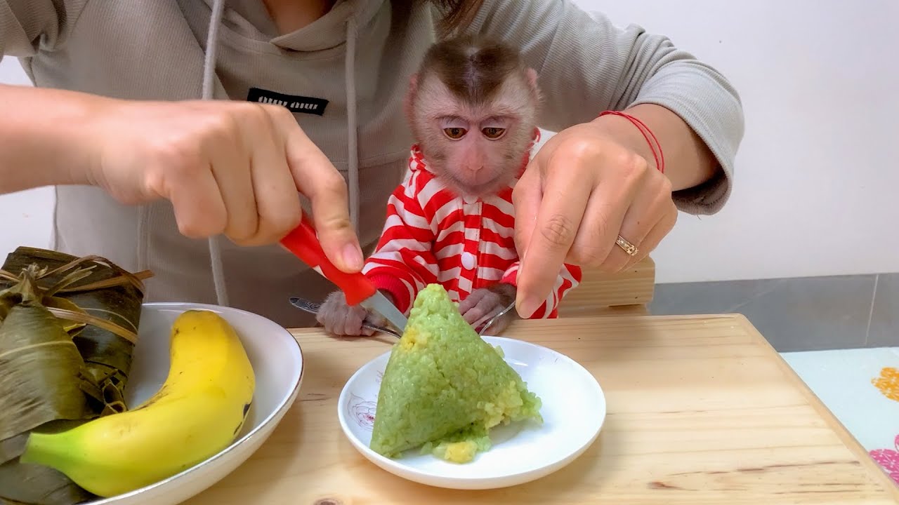 Monkey Puka loves new foods, he eats a lot and is delicious