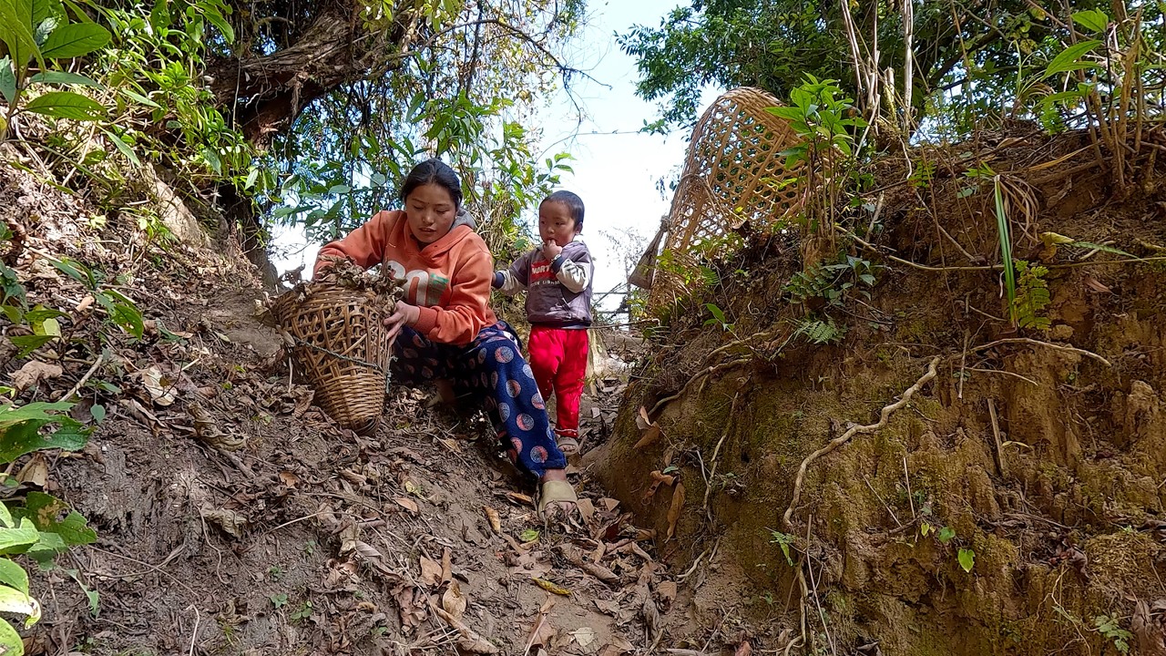  manjita collecting foliage for the bedsheet of sheep & to make manure