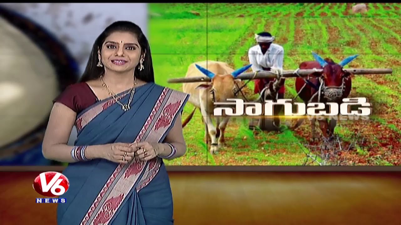 Success Story Of Organic Farmer Janardhan | Jagtial District | Sagubadi | V6 News