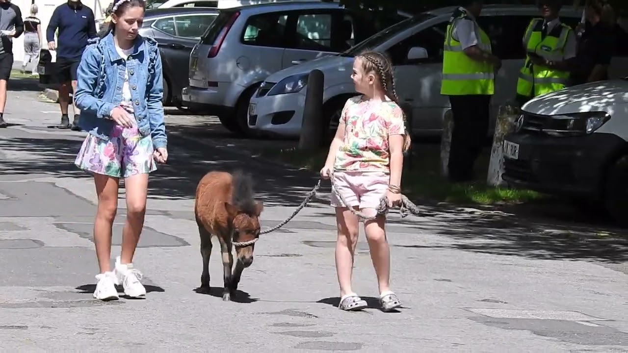 Horse fair Brigg 2022