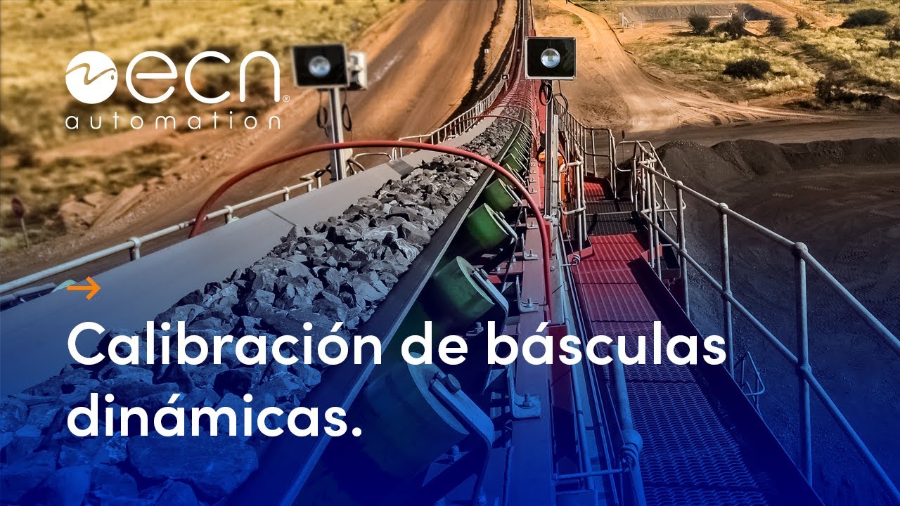 Calibración de básculas dinámicas