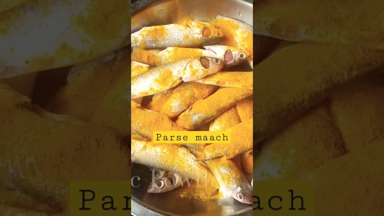 MONA's kitchen#ranna banna# parse maach