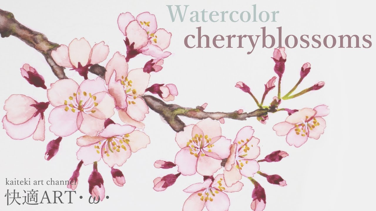 【メイキング】水彩で簡単リアルに桜を描く🌸　【watercolor】 realistic cherryblossom