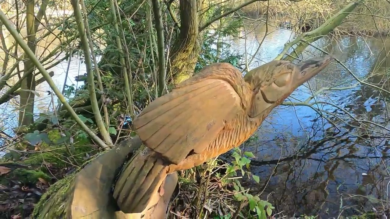 Thornton Le Dale Amble in the Sun #wildlife #walking