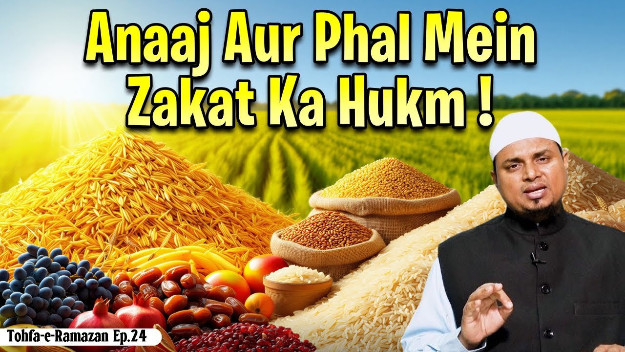 Anaaj Aur Phal Mein Zakat Ka Hukm  | Tohfa e Ramzan Ep. 24 | Shaikh Sanaullah Madani