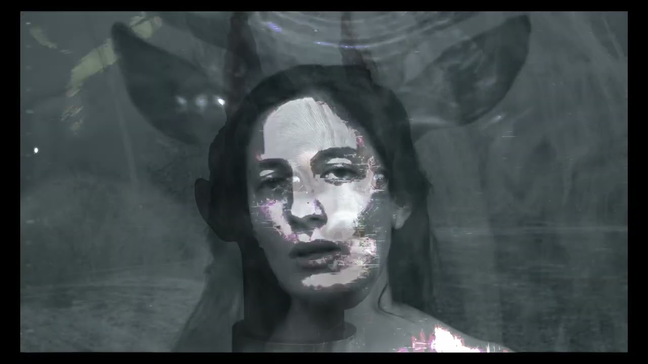 The Ponds ~ Echoes