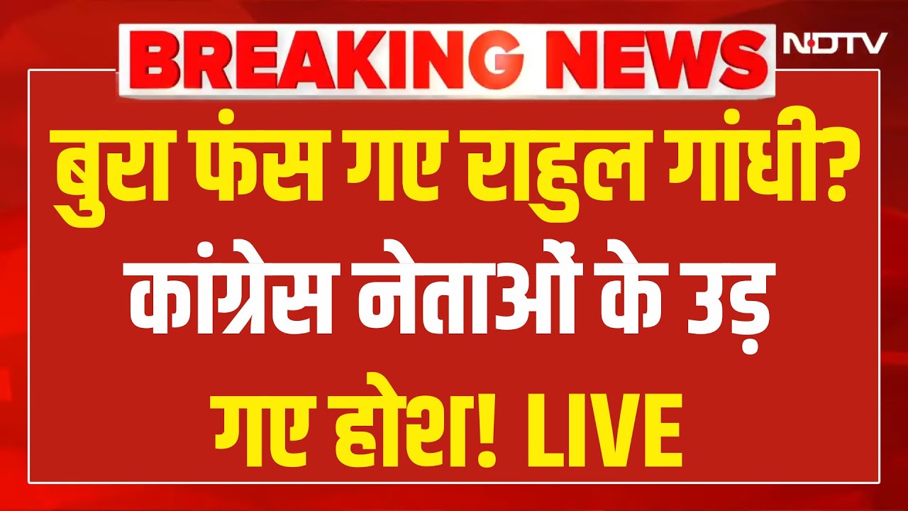 Big Action On Rahul Gandhi LIVE: राहुल गांधी देंगे इस्तीफा? | Delhi Protest |Ravneet Singh Bittu