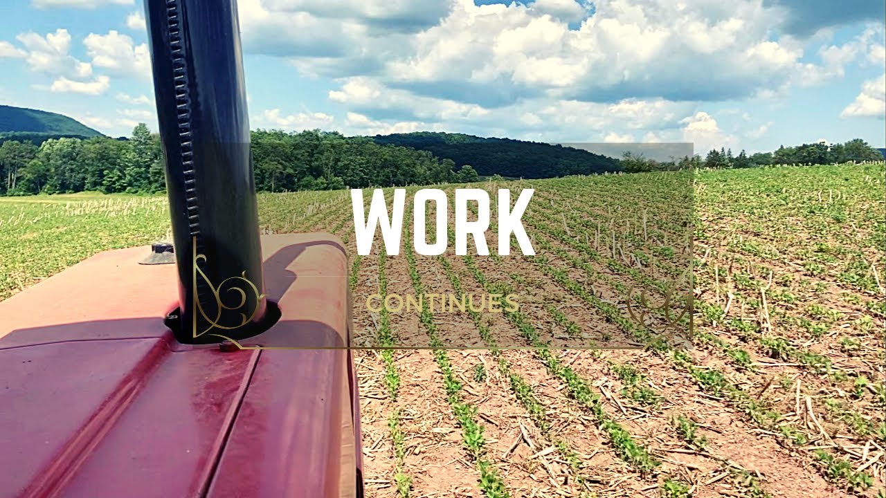 Summer Work Continues
