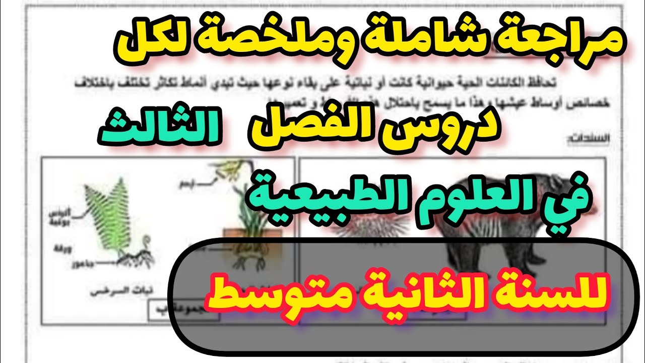 مراجعة شاملة وملخصة لكل دروس الفصل الثالث في العلوم الطبيعية للسنة الثانية متوسط