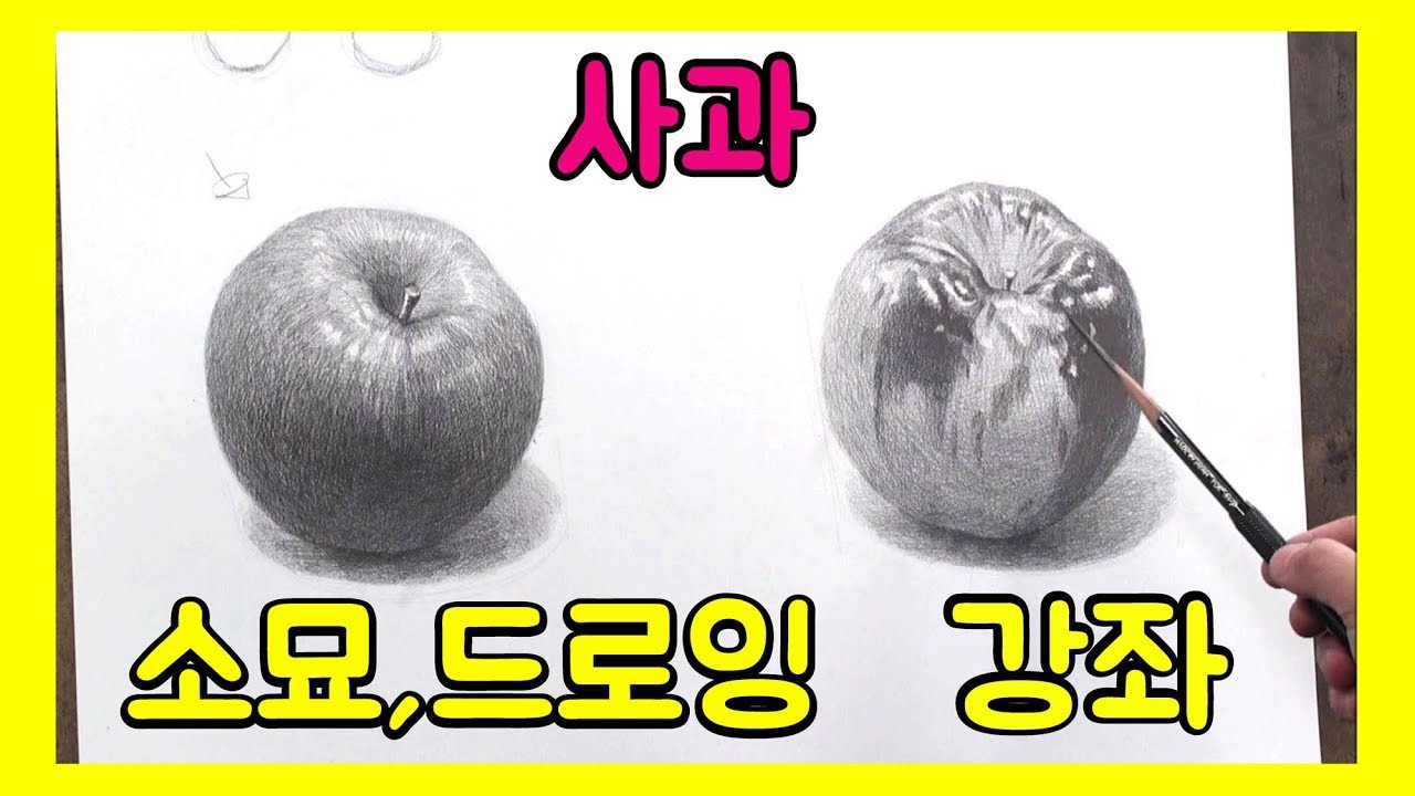 기초 소묘 / 붉은 사과 439