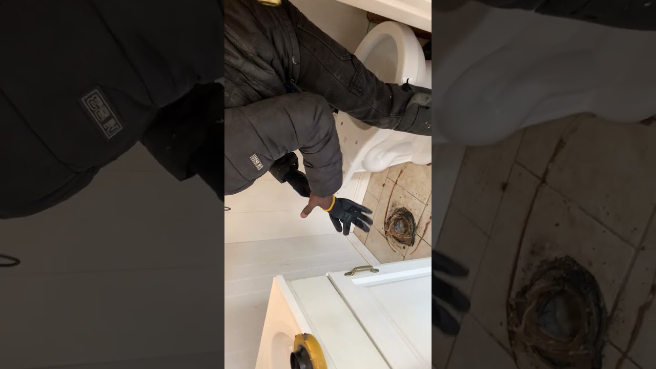 Simple changing of toilet take out and replace new 