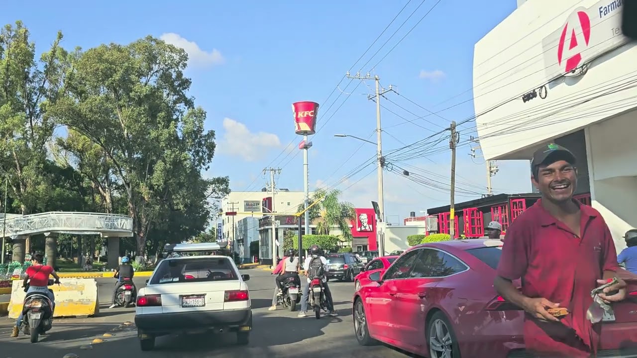Jacona y Zamora Michoacán: De árboles  y artistas populares @cotidiano399