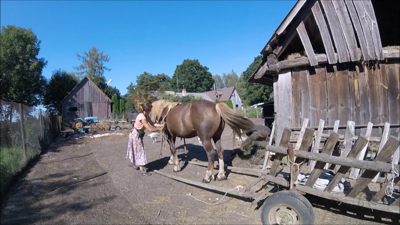 Хроники сенокоса. Часть 4. // Жизнь в деревне.