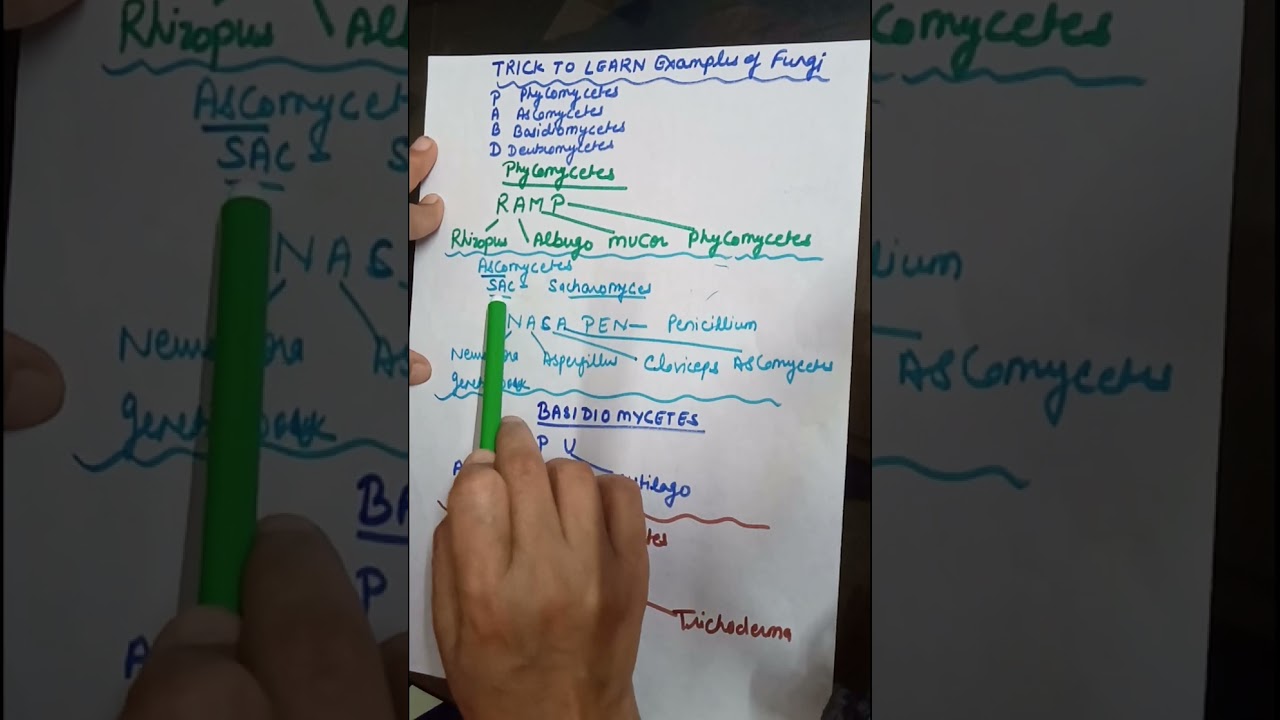 SUPER easy trick to learn examples of fungi class11 Neet pgt tgt dssb