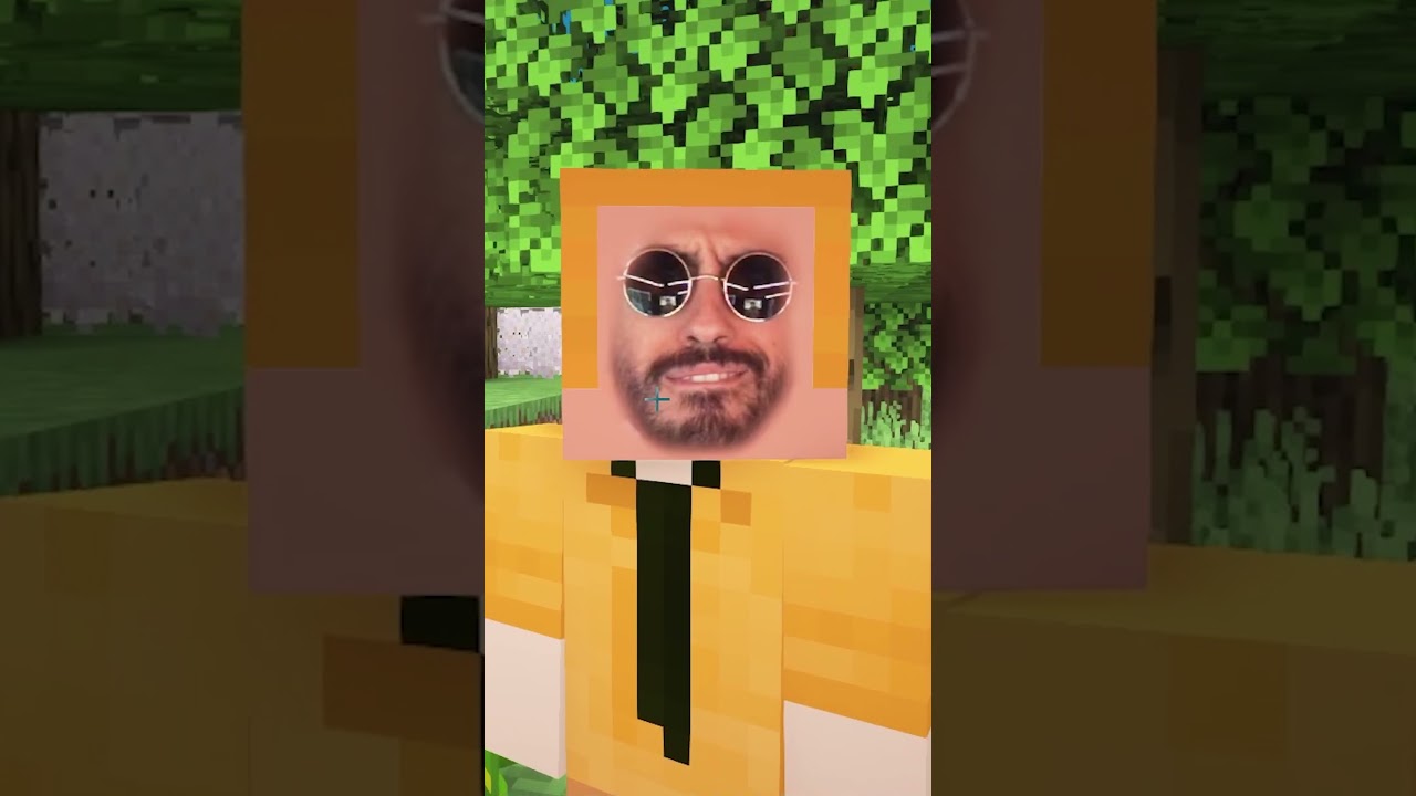 MINECRAFT MA CON LE FACCE NOSTRE