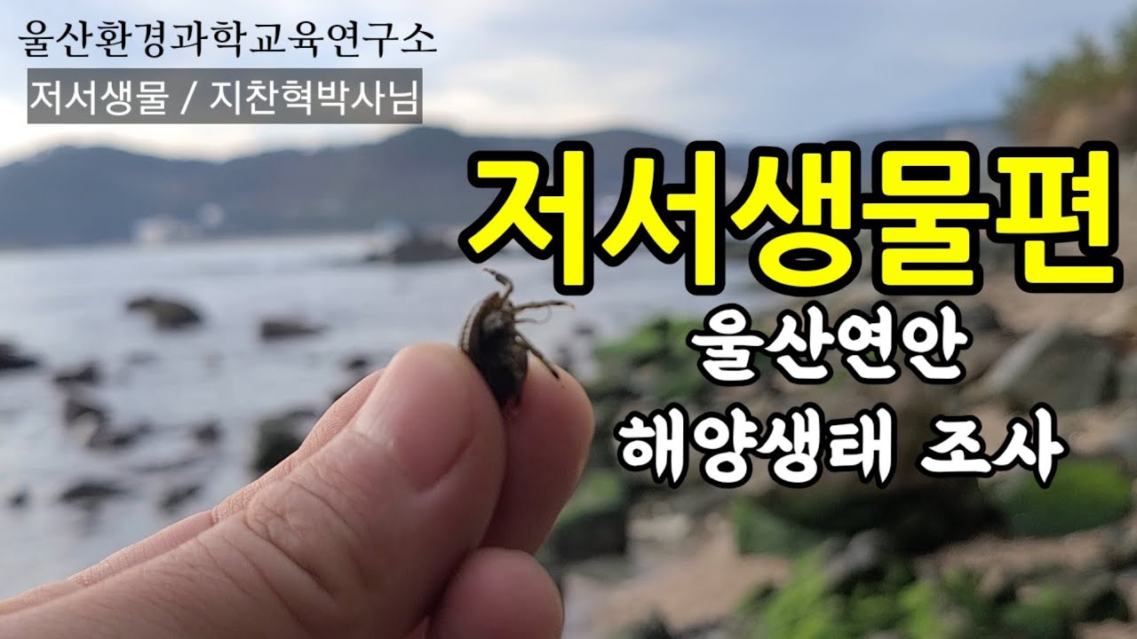 울산연안해양생태조사/저서생물/지찬혁박사님/명선도/울산환경과학교육연구소