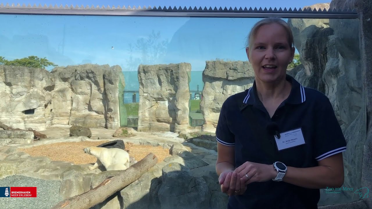 Virtuelle Zoo-Führung durch den Zoo am Meer Bremerhaven