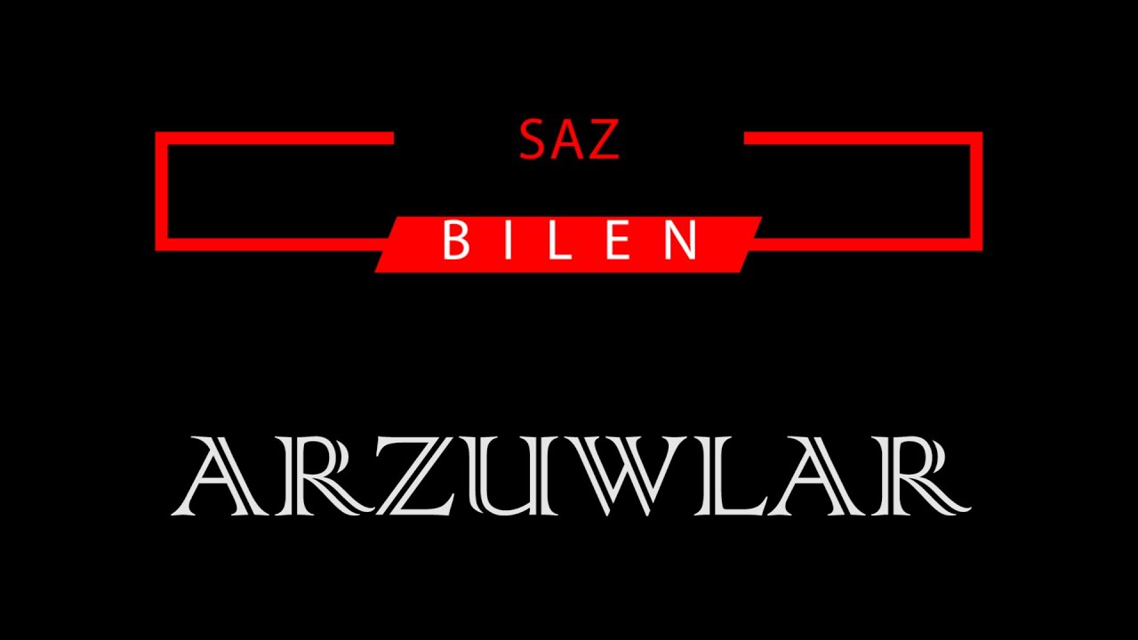 PÄLWAN HALMYRADOW _ ARZUWLAR (KARAOKE) 4K