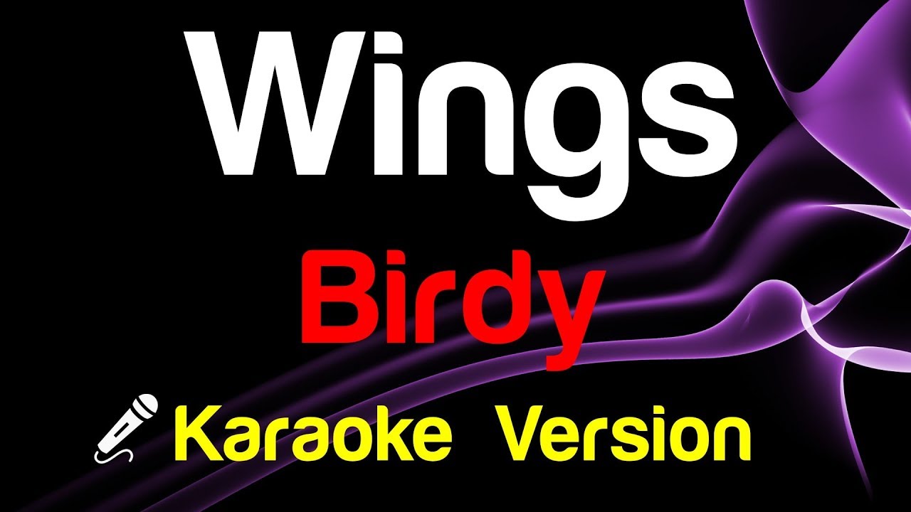 🎤 Birdy - Wings (Karaoke Lyrics)