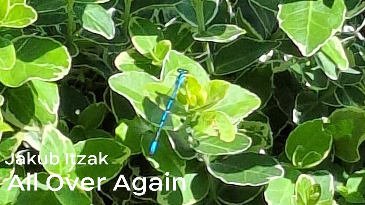 Jakub Itzak - All Over Again