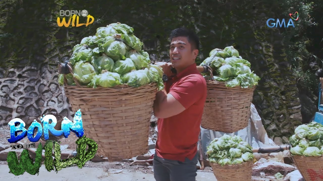 Born to be Wild: Meet the 'Comboys' of Benguet