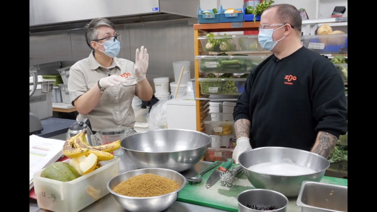 Rencontre avec notre équipe d'experts | Gâteau pour nos gorilles