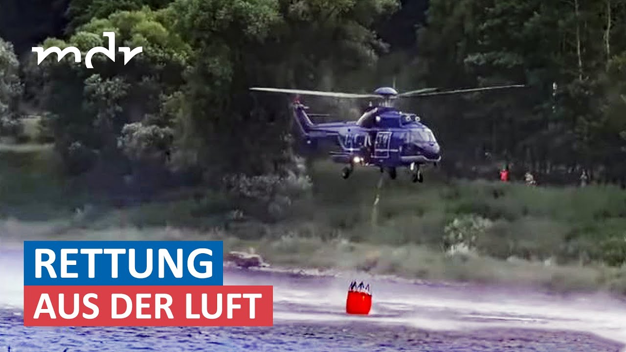 Waldbrände an der Grenze zu Tschechien teilweise unter Kontrolle | MDR um Zwei | MDR
