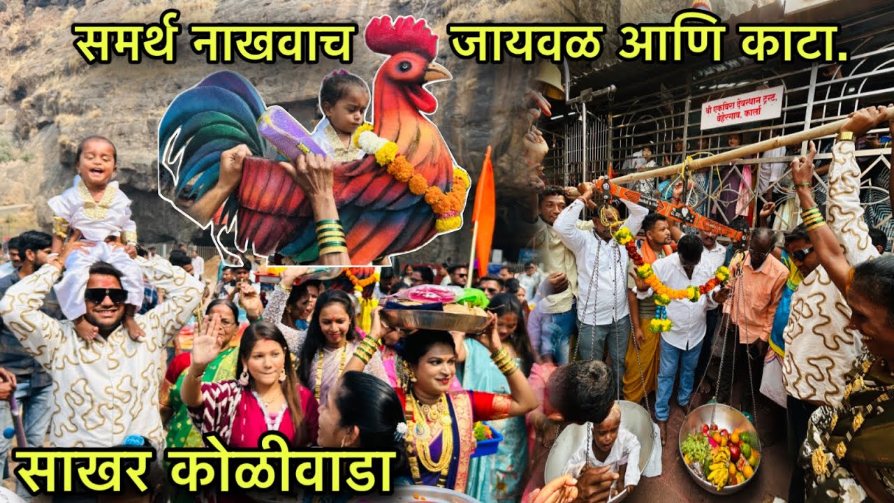 साखर कोळीवाडा निघाला समर्थ बाबू च्या जायवळाला एकवीरेला.