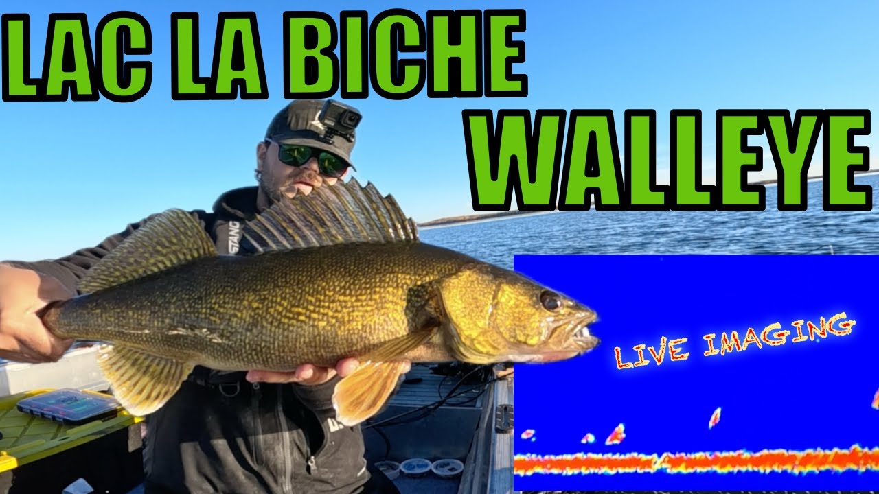 Sharpshooting Fall Walleye on Lac La Biche!!! | Top 5 Biggest Fish
