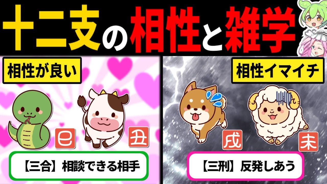 【十二支】干支の相性と付き合い方のポイント【ずんだもん】【解説】