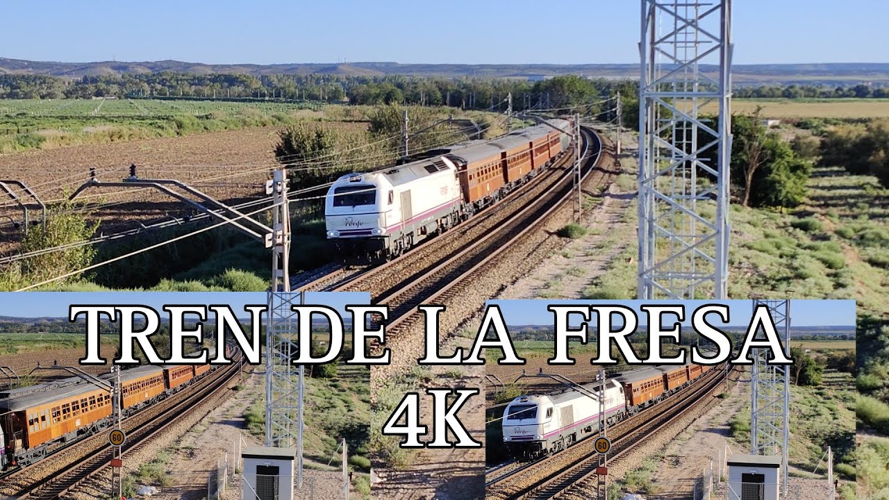 TREN DE LA FRESA 4K 2023