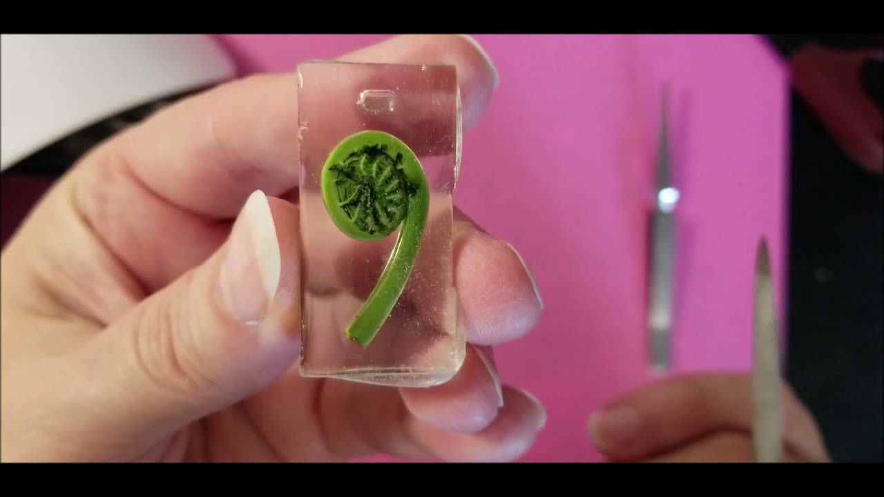 How to Make a UV Resin and Fiddlehead Pendant