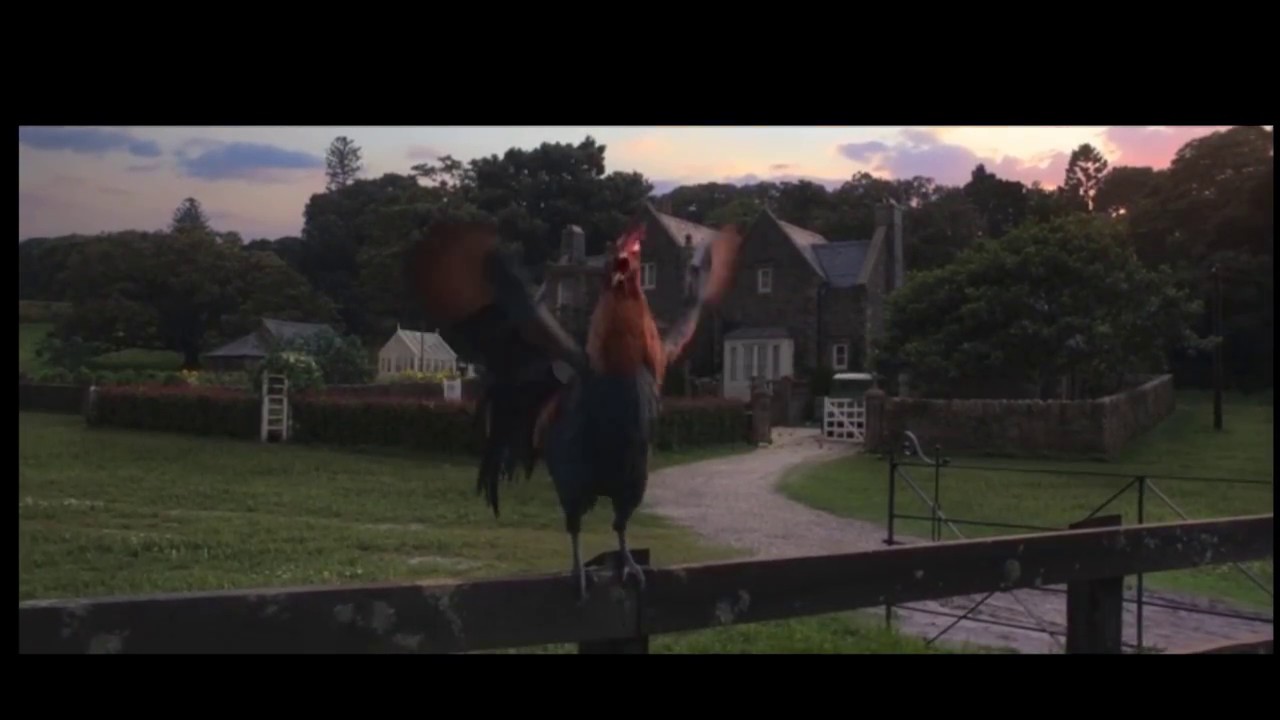 FDWB - Rooster in Peter Rabbit becomes a father