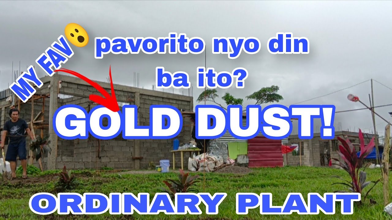 MAKULAY NA ANG KAPALIGIRAN NG LOTE