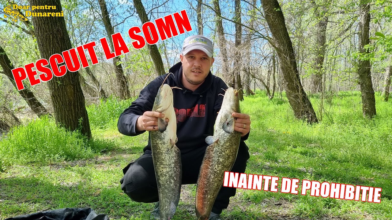 PESCUIT LA SOMN INAINTE DE PROHIBITIE
