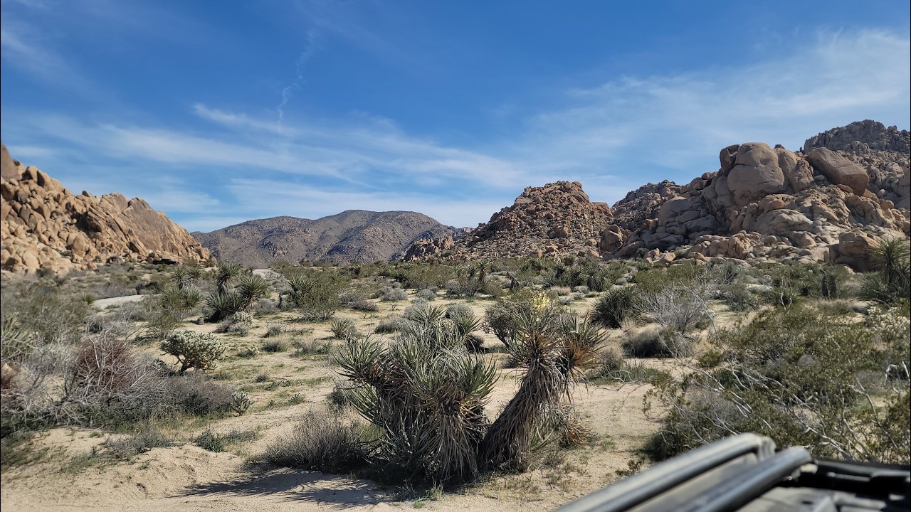 Indian Cove Campground Joshua Tree National Park
