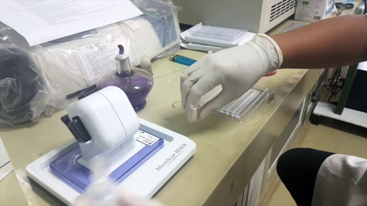 Prompt Inoculation System by Beckman Coulter