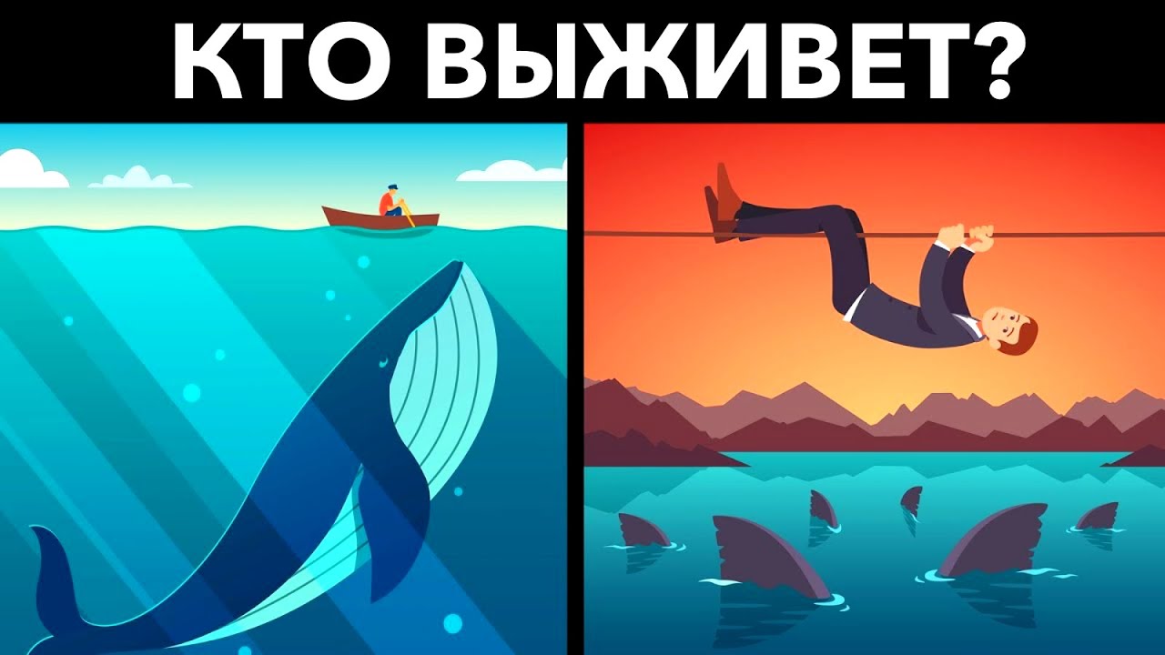 Лучшие Загадки и Головоломки с неожиданным ответом