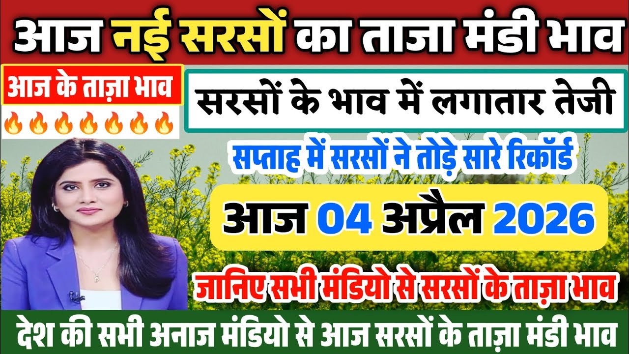 नई सरसों के भाव| 04 अप्रैल 2026 सरसों के भाव में लगातार तेजी| Sarson ka bhav, Mustard price today,