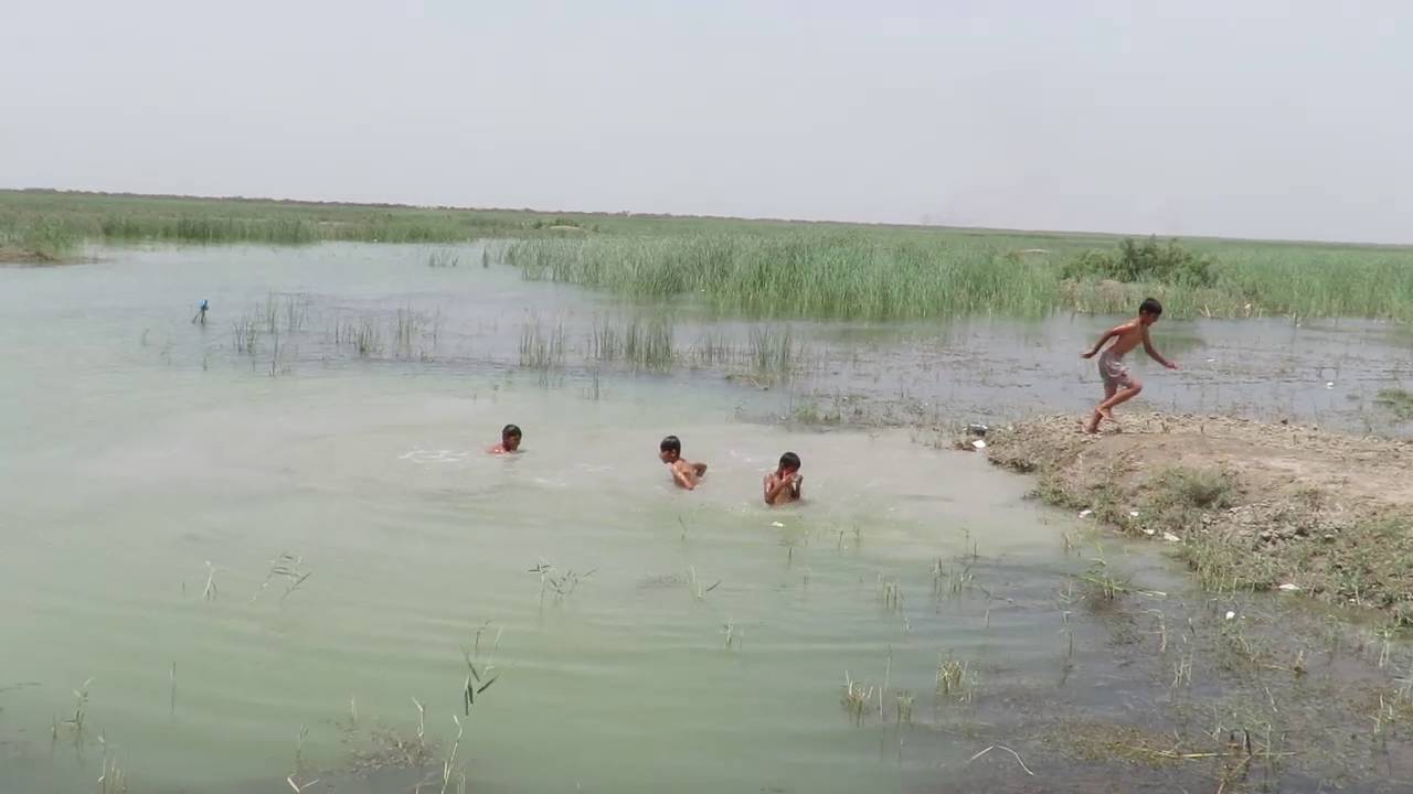معلومات كاملة عن هور الحمار جنوب العراق قضاء الجبايش حملة تسجيل الاهوار ضمن لائحة التراث العالمي