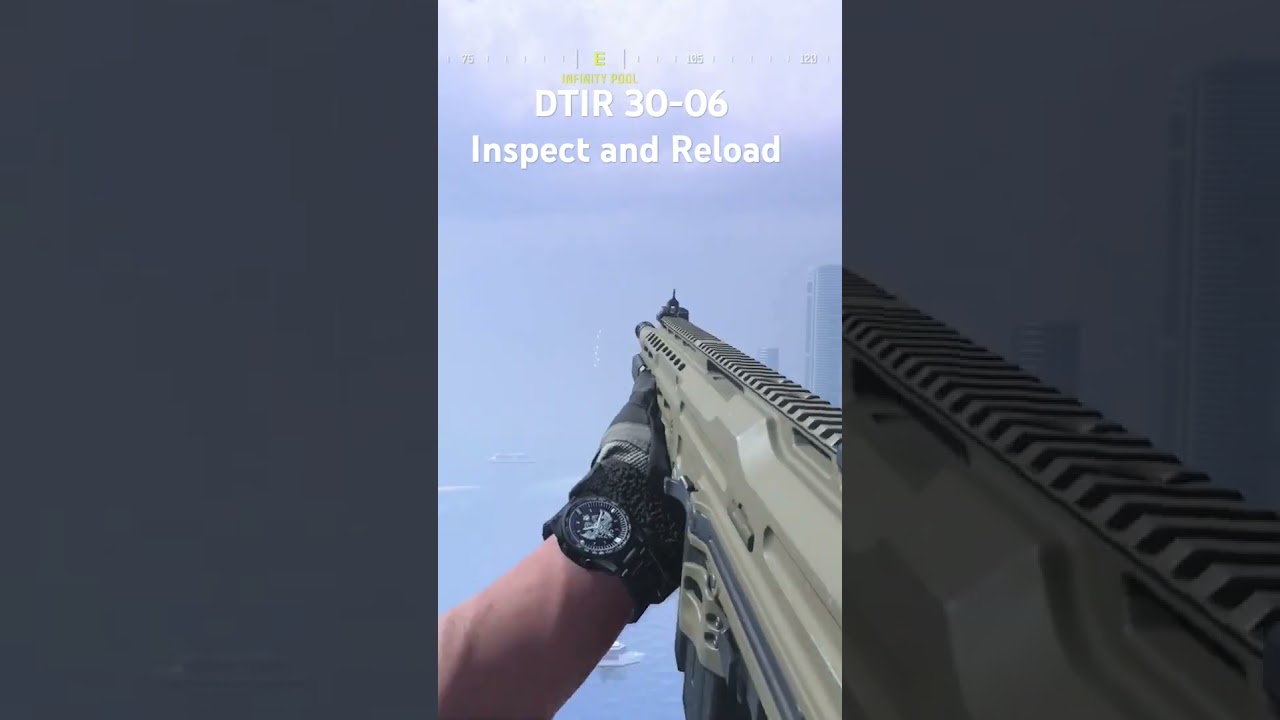 DTIR 30-06 Inspect & Reload
