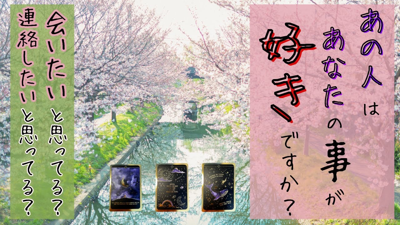 【神回】あの人はあなたの事が好きですか？会いたいと思ってる？連絡したいと思ってる？質問してないのにカードさんが勝手に出してくる神回✨　タロット オラクルカードで深掘りリーディング🍑