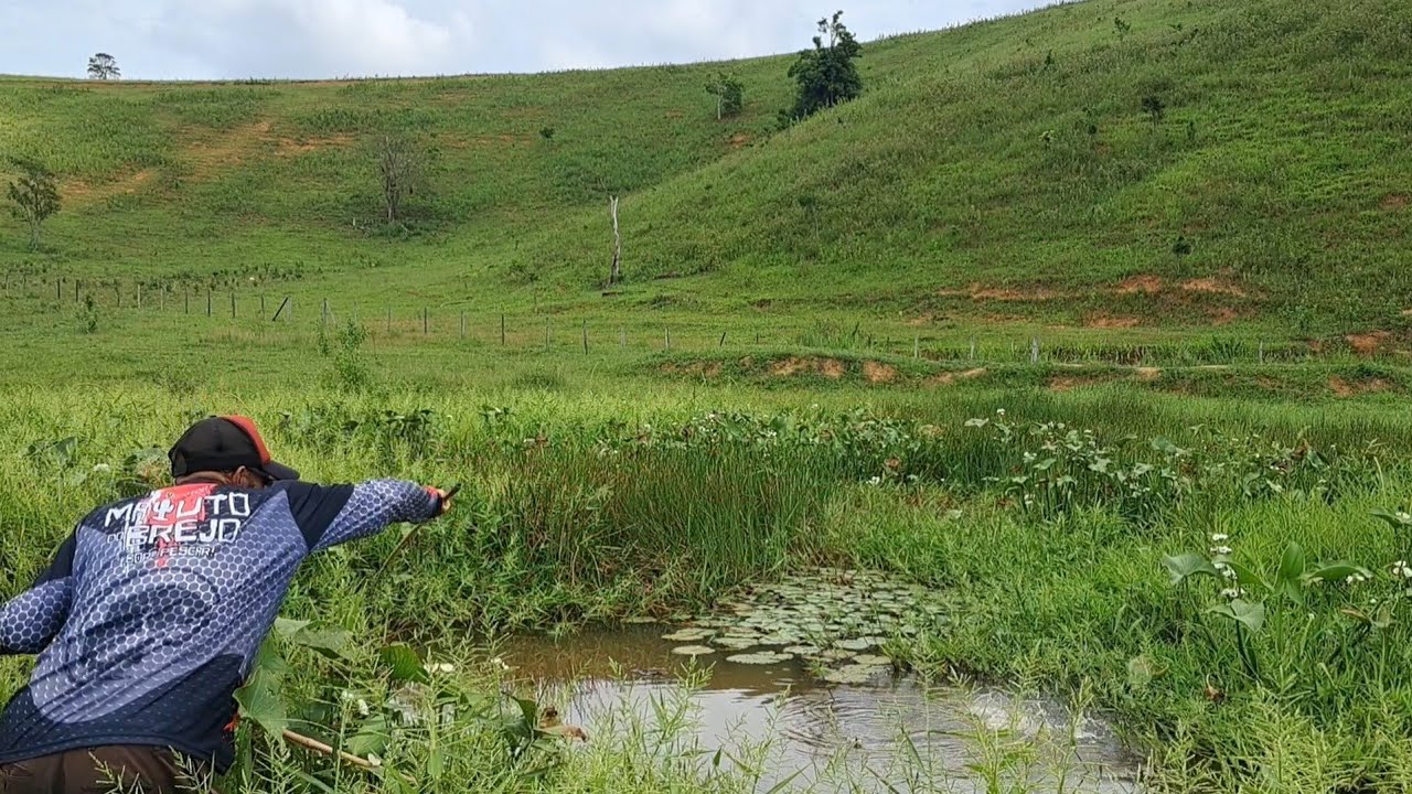 Fazia tempo que n&atilde;o pescava esse peixe, pescaria caipira de tra&iacute;ra, moroba e camboja