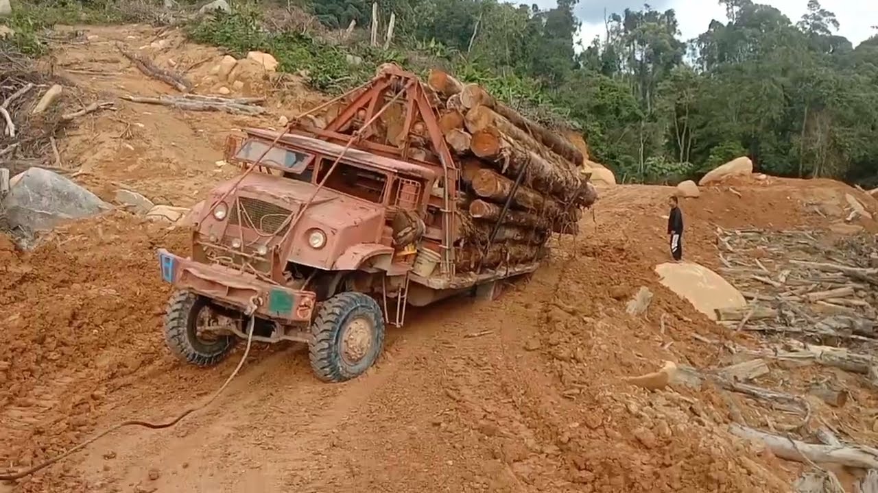 lori balak Timber logging truck santaiwong Malaysia