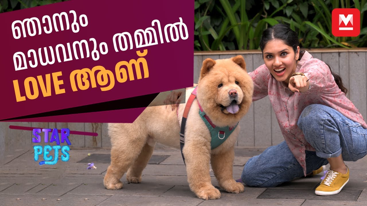 മാധവൻ വന്ന ശേഷം ജീവിതത്തിൽ ഒരുപാട് മാറ്റങ്ങളുണ്ടായി | Gayathri Suresh
