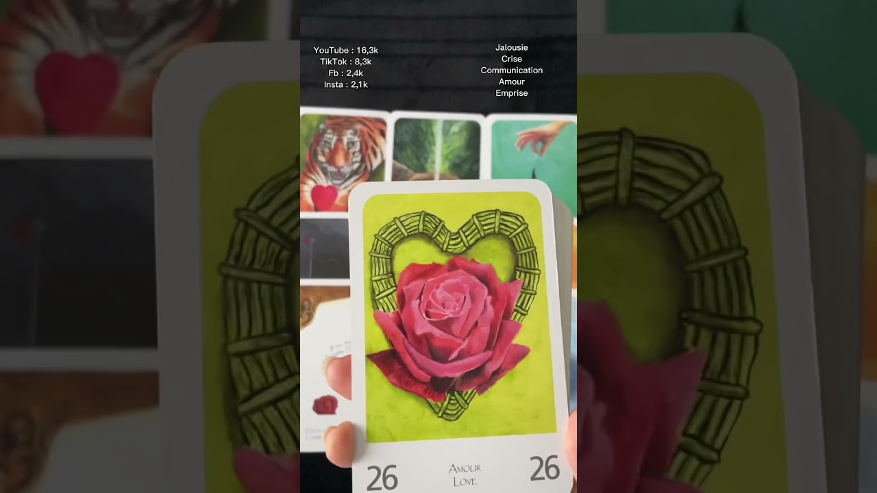 🥰 Ce qu’il/elle aimerait te dire…🥰